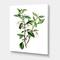 Designart - Vintage Green Leaves Plants VII - Traditional Canvas Wall Art Print